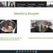 Instruirea Echipelor Multidisciplinare