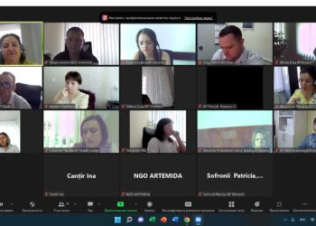 Instruirea Echipelor Multidisciplinare