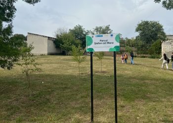 Mini-parc plin de viață