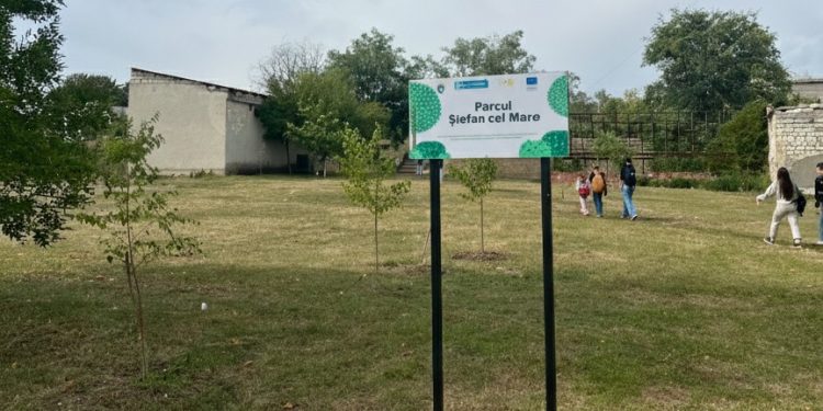 Mini-parc plin de viață