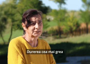 Istoriile proiectului Metamorfoza