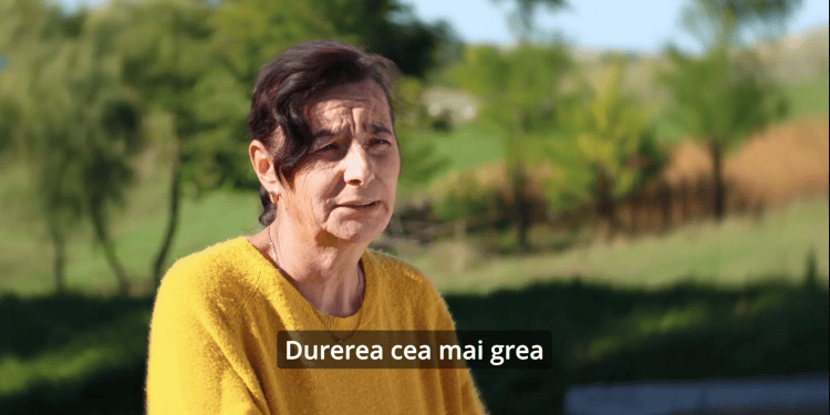 Istoriile proiectului Metamorfoza
