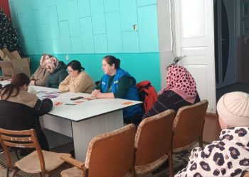 Activitatea zilnica a Echipelor Mobile